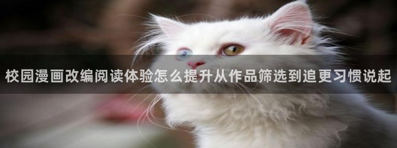 樱花日语学习大全