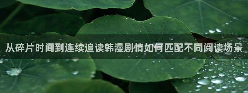 樱花日语快速入门