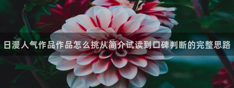 樱花日语阅读理解